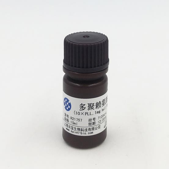 多聚赖氨酸溶液（10×PLL，1mg/ml，RNAse free）