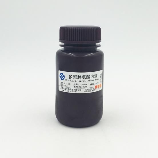 多聚赖氨酸溶液（1×PLL，0.1mg/ml RNAse free）