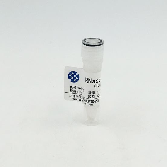 RNAse A 溶液（10mg/ml）