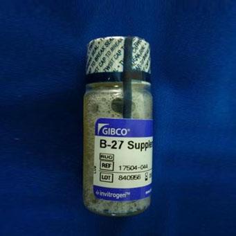 GIBCO B-27无血清添加剂