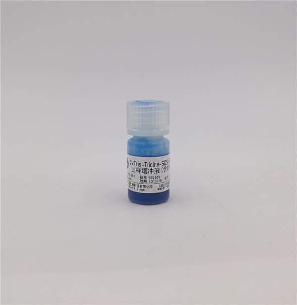 2×Tris-Tricine-SDS-PAGE上样缓冲液（含DTT）