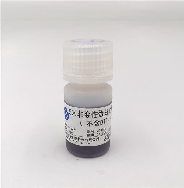 5×非变性蛋白上样缓冲液（不含DTT、SDS）