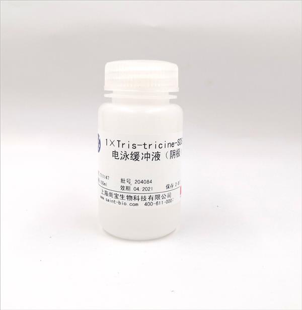 1×Tris-tricine-SDS 电泳缓冲液（阴极）