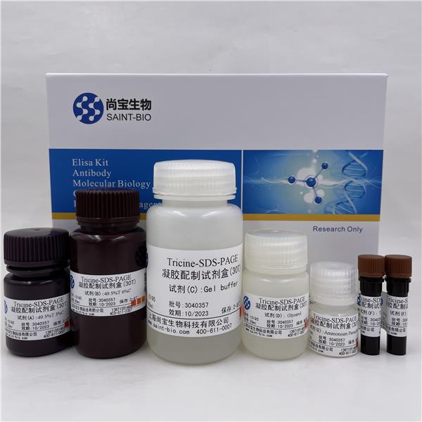 Tricine-SDS-PAGE凝胶配制试剂盒