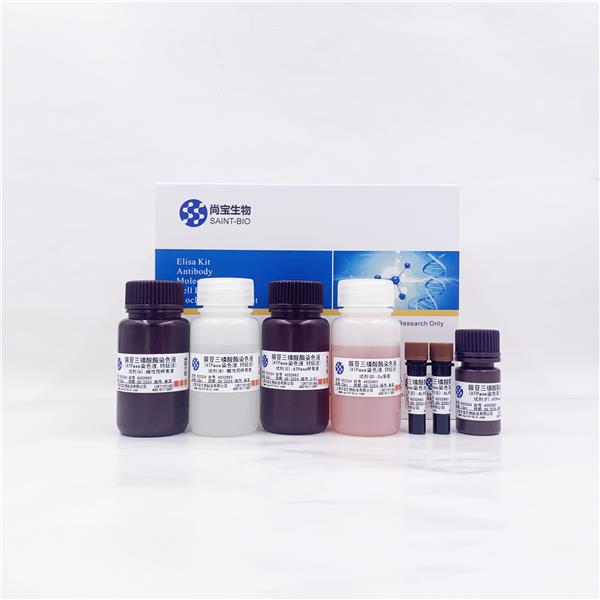 腺苷三磷酸酶染色液（ATPase染色液，钙钴法）
