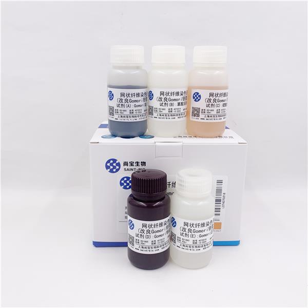 网状纤维染色液（改良Gomori银氨法）