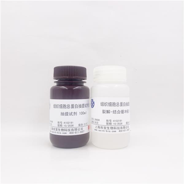 组织细胞总蛋白抽提试剂盒