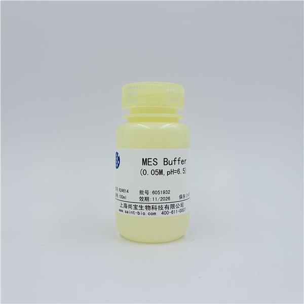 MES Buffer(0.05M,pH=6.5)